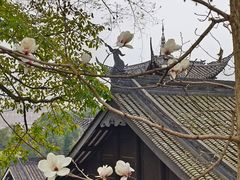 -中国观音故里广德景区