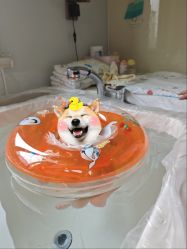 -上海百佳母婴护理中心