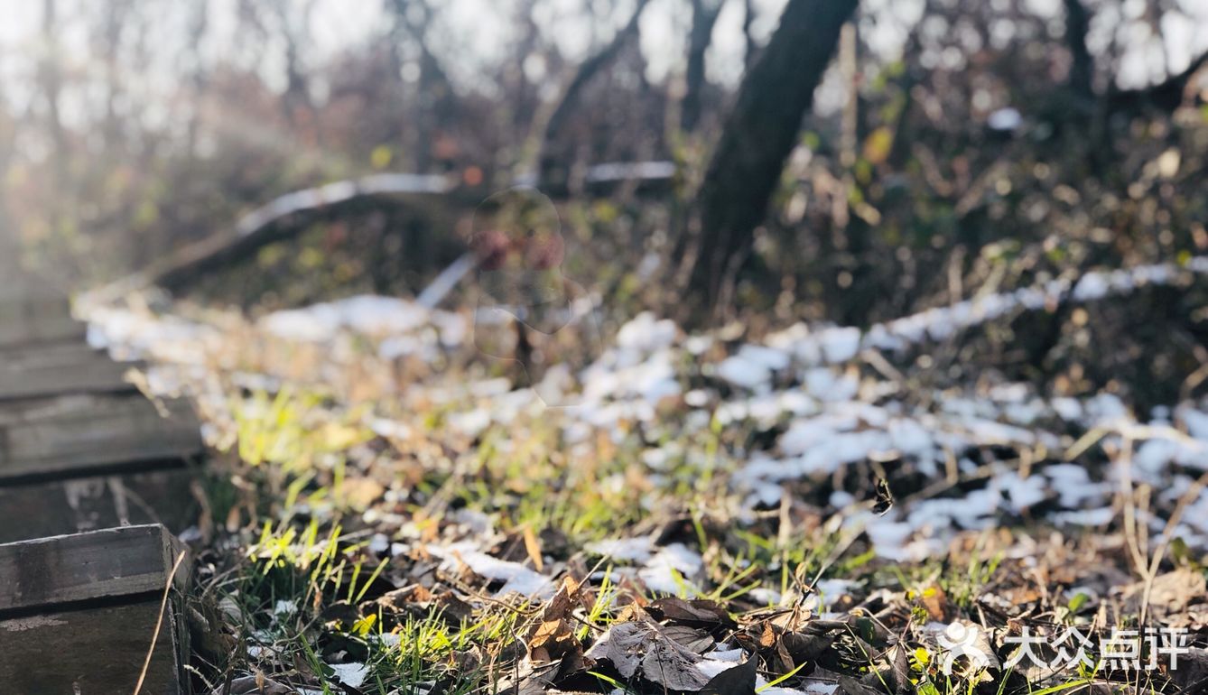 连降噪耳机都能够舍弃，一个双肩包就到达这里