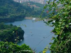 -水濂山森林公园