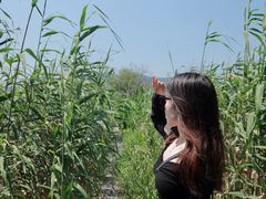-长兴太湖图影湿地文化园