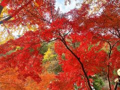 -狼山风景名胜区