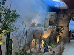 -西霞口神雕山野生动物世界