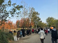 -白鹭湾湿地公园