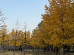 -太阳宫公园
