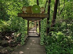-大岭沟猕猴桃谷风景区