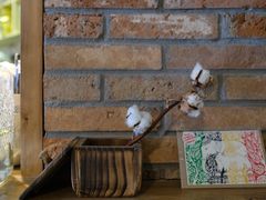 -春庄咖啡SpringHues(钟楼小区店)