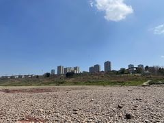 -金海湾滨江公园
