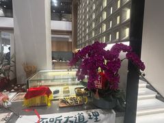 -乔曰Qiao Yue·茶咖局