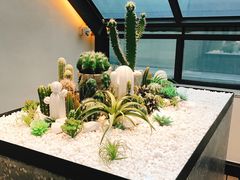 -大树餐厅(红旗街万达店)