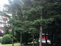 -心乐生活新鲜屋(星海广场店)