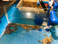 -星伦多 自助料理(圆融店)