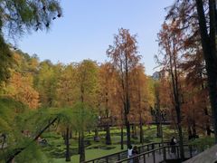 -青山湖景区