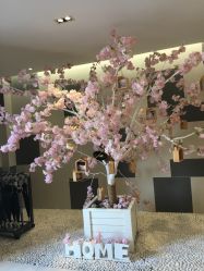 -爱弥儿月子中心(省医院店)