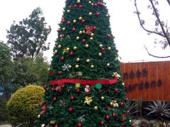 -三圣花乡旅游区