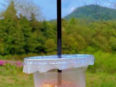 -南京老山国家森林公园