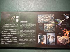-温州博物馆