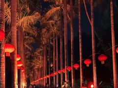 -中国科学院华南植物园