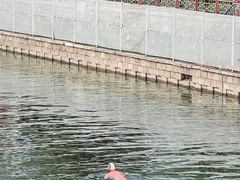 -皇家御河游(紫御湾码头)
