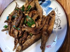 -印象鲵宴·张家界地标美食名片(溪布街店)