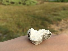 -龙坑生态保护区