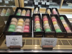 -Sunflour(来福士店)