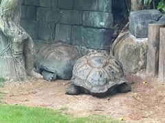 -珠海长隆海洋王国