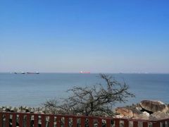 -上海滨江森林公园