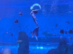 -石家庄极地海洋世界