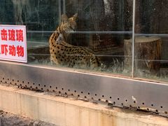 -青岛动物园