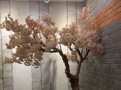 -迈格笙SPA·影院式足道·采耳(金桥店)