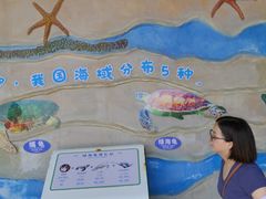 -广东惠东海龟国家级自然保护区