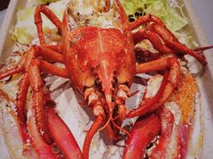 波士顿龙虾-EN SPACE恩空间