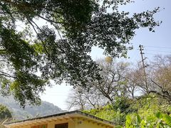 -广州市石门国家森林公园