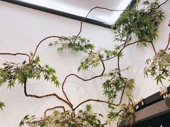 -耳艺采耳·足疗·按摩SPA(市桥店)