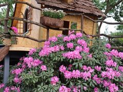 -名花谷生态庄园