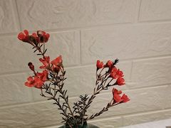 -旺顺阁·北京菜(北辰上品+)