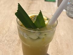-O'eat Blossom&Pelican(深圳首店)