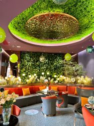 -花隐·美芙炫海菲秀皮肤管理中心