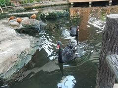 -南宫五洲植物乐园