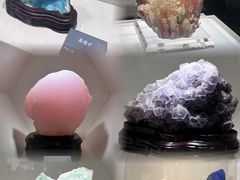 -安徽省地质博物馆