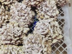 -五里多农博广场