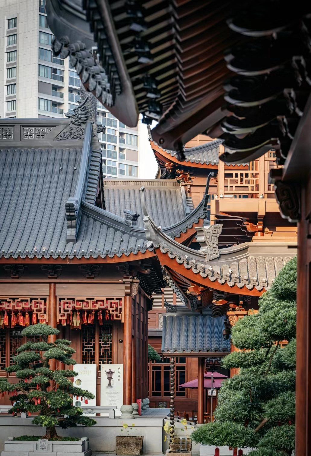 大隐于世玉佛寺 络绎不绝抄经人