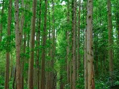 -同里国家湿地公园