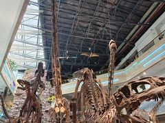 -安徽省地质博物馆