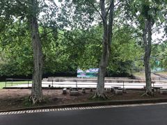 -红山体育乐园