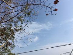 -紫金山索道-售票处
