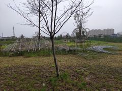 -江天生态园餐厅