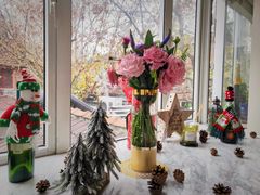 -蝶舍·MAISON PAPILLON