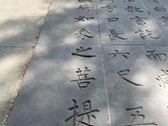 -大雁塔北广场音乐喷泉